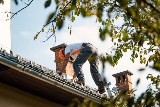 Best New Roof Installation  in Salem, IL