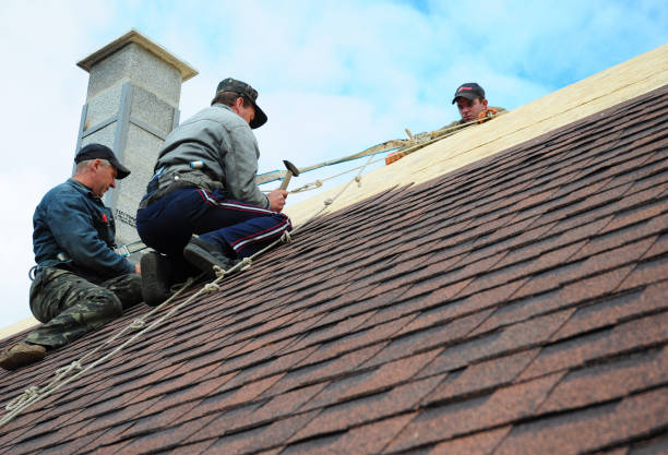 Best Roof Repair Services  in Salem, IL